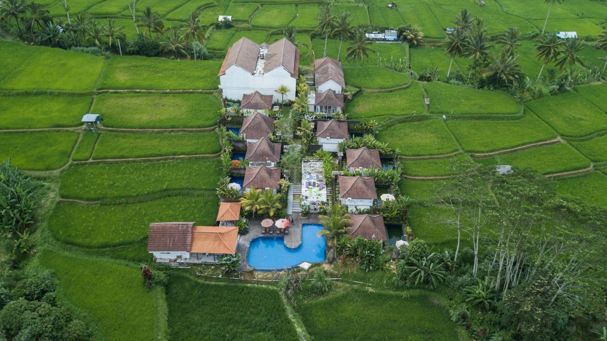Tanta Escape Hotell Tegallalang  Exteriör bild