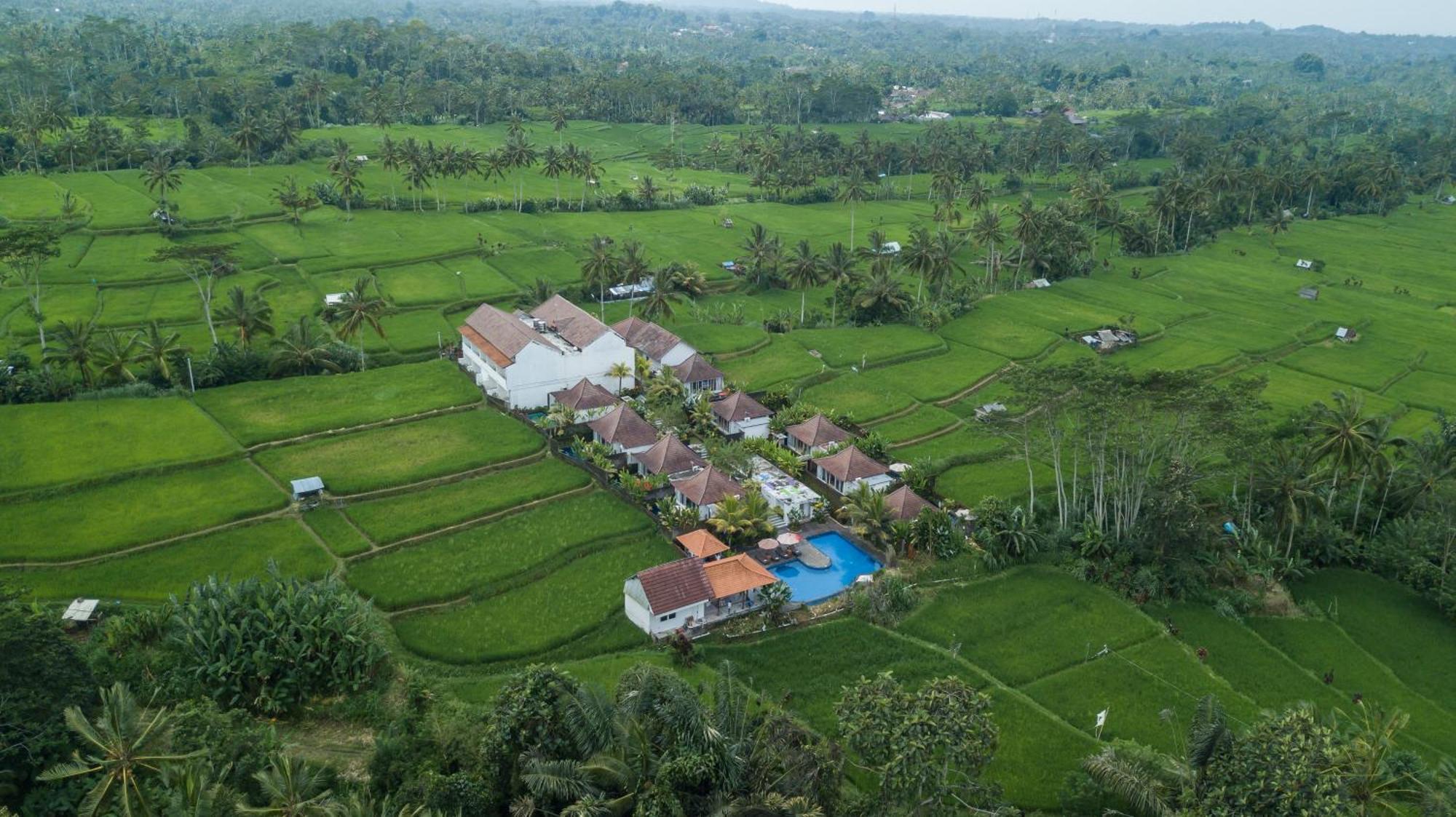 Tanta Escape Hotell Tegallalang  Exteriör bild