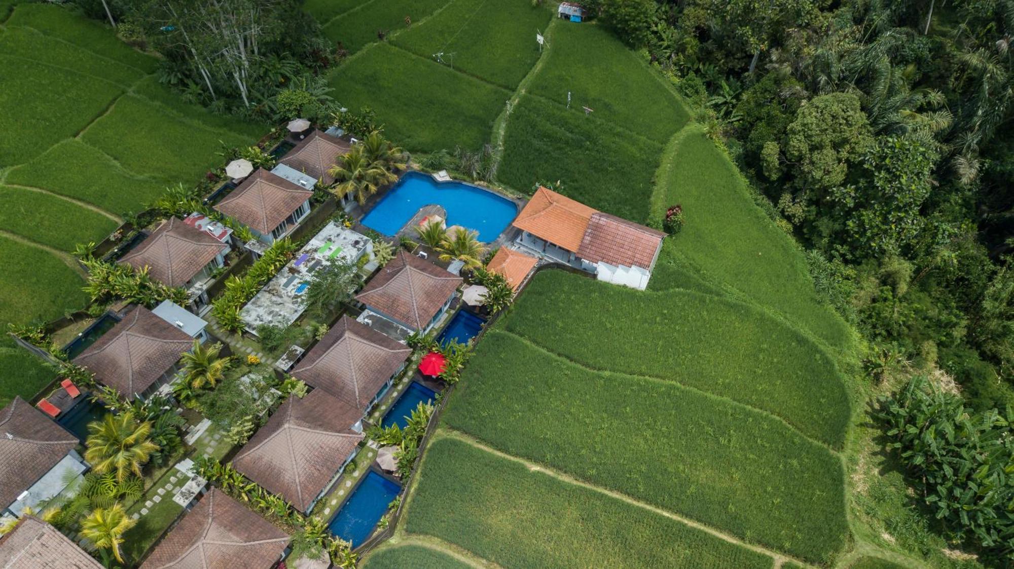 Tanta Escape Hotell Tegallalang  Exteriör bild